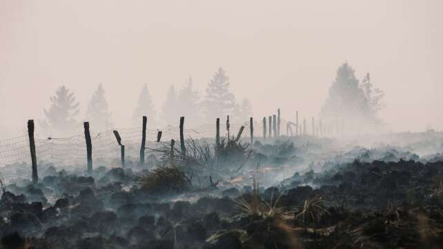 Waldbrand im Hohen Venn bleibt «unberechenbar»