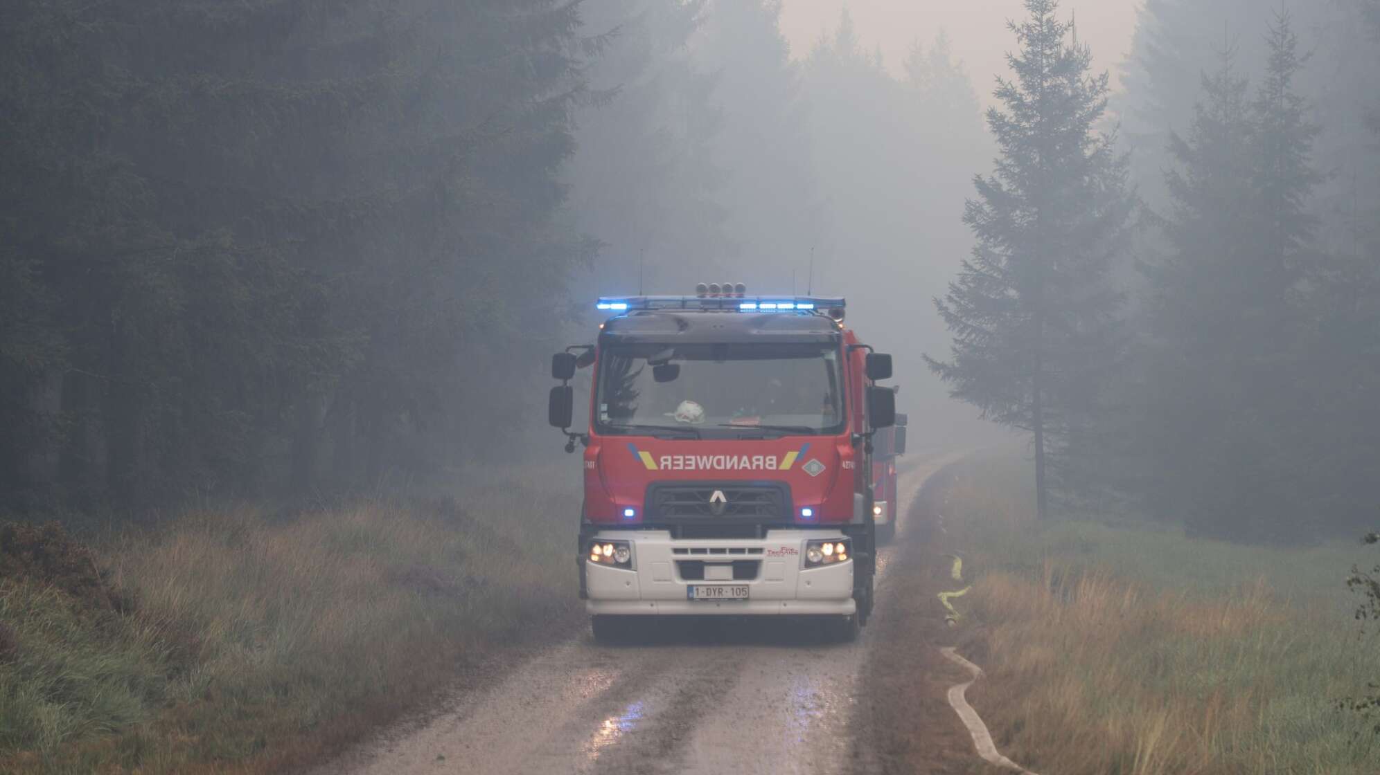 Waldbrand im Hohen Venn