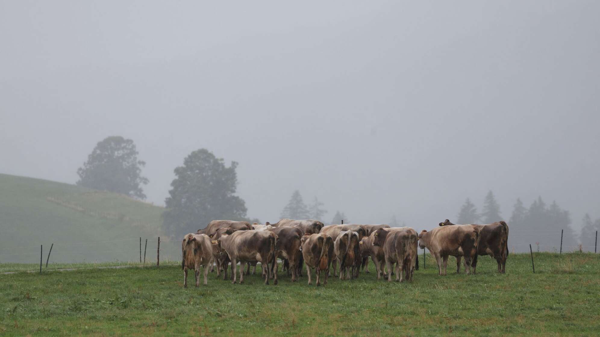 Wetter in Bayern