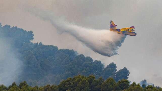Rund 1.000 Menschen wegen Waldbrandes in Spanien evakuiert