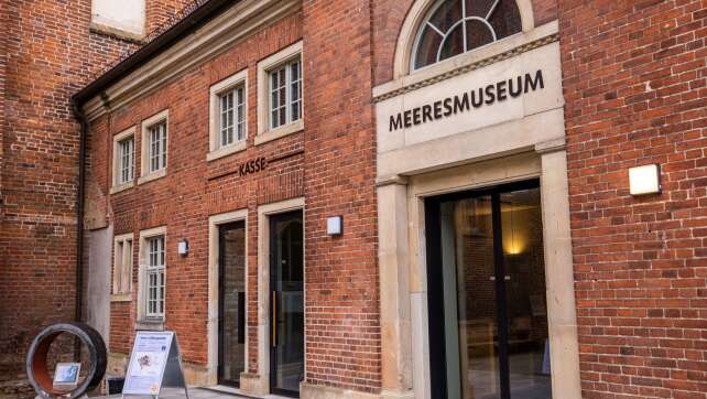 Wegen Buckelwal: Meeresmuseum erhält weiter Hassnachrichten