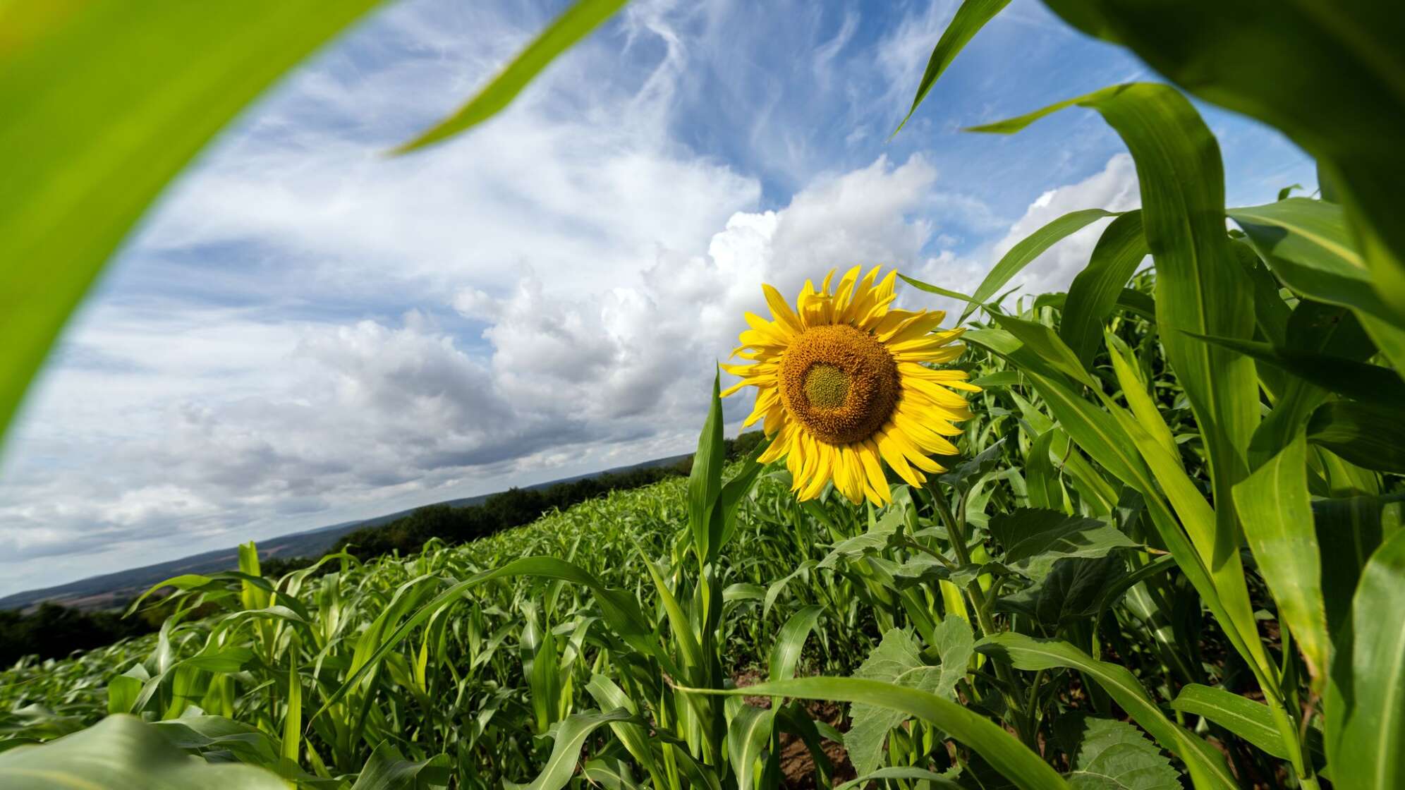 Wetter in Bayern