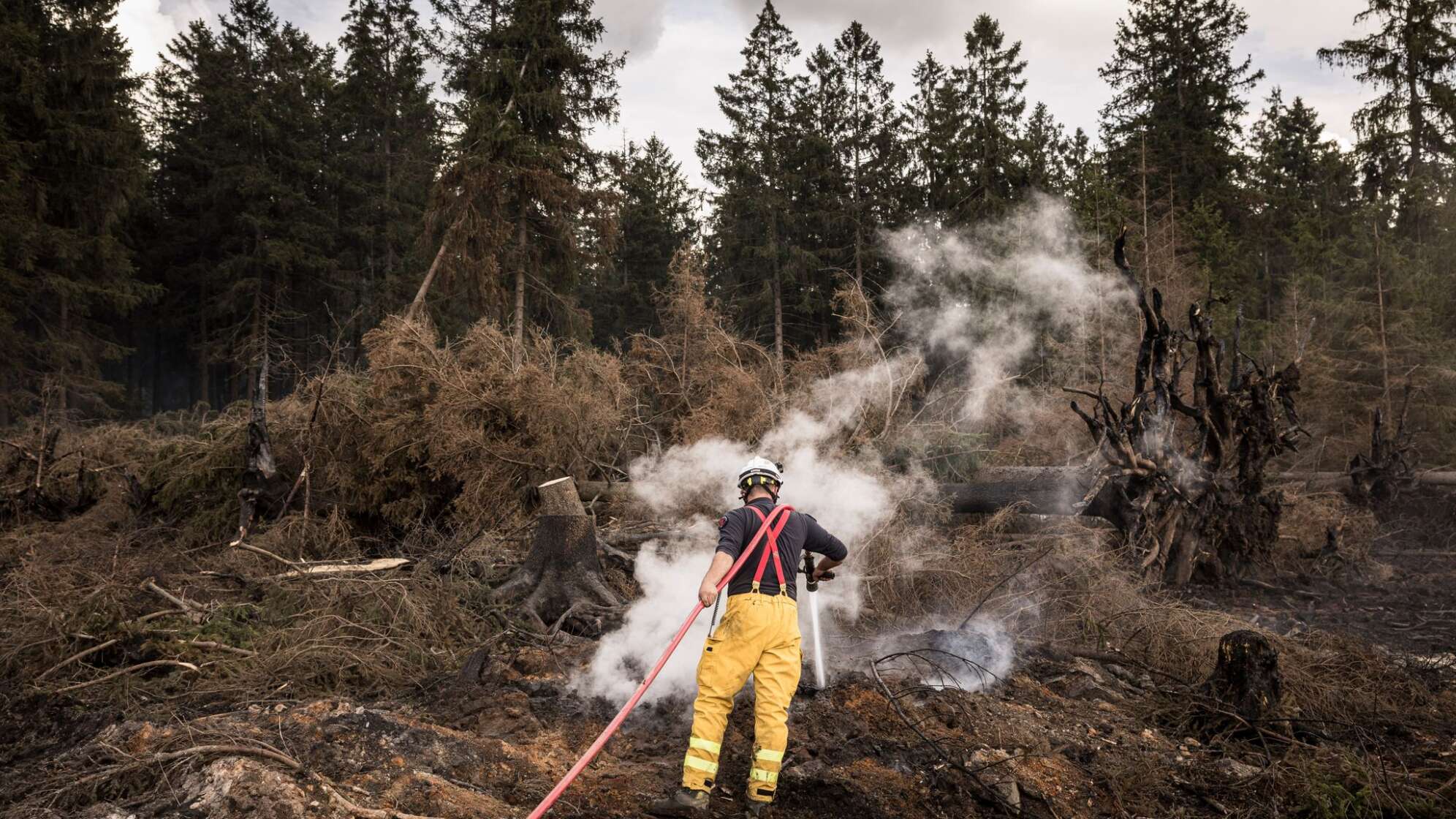 Waldbrand im Hohen Venn