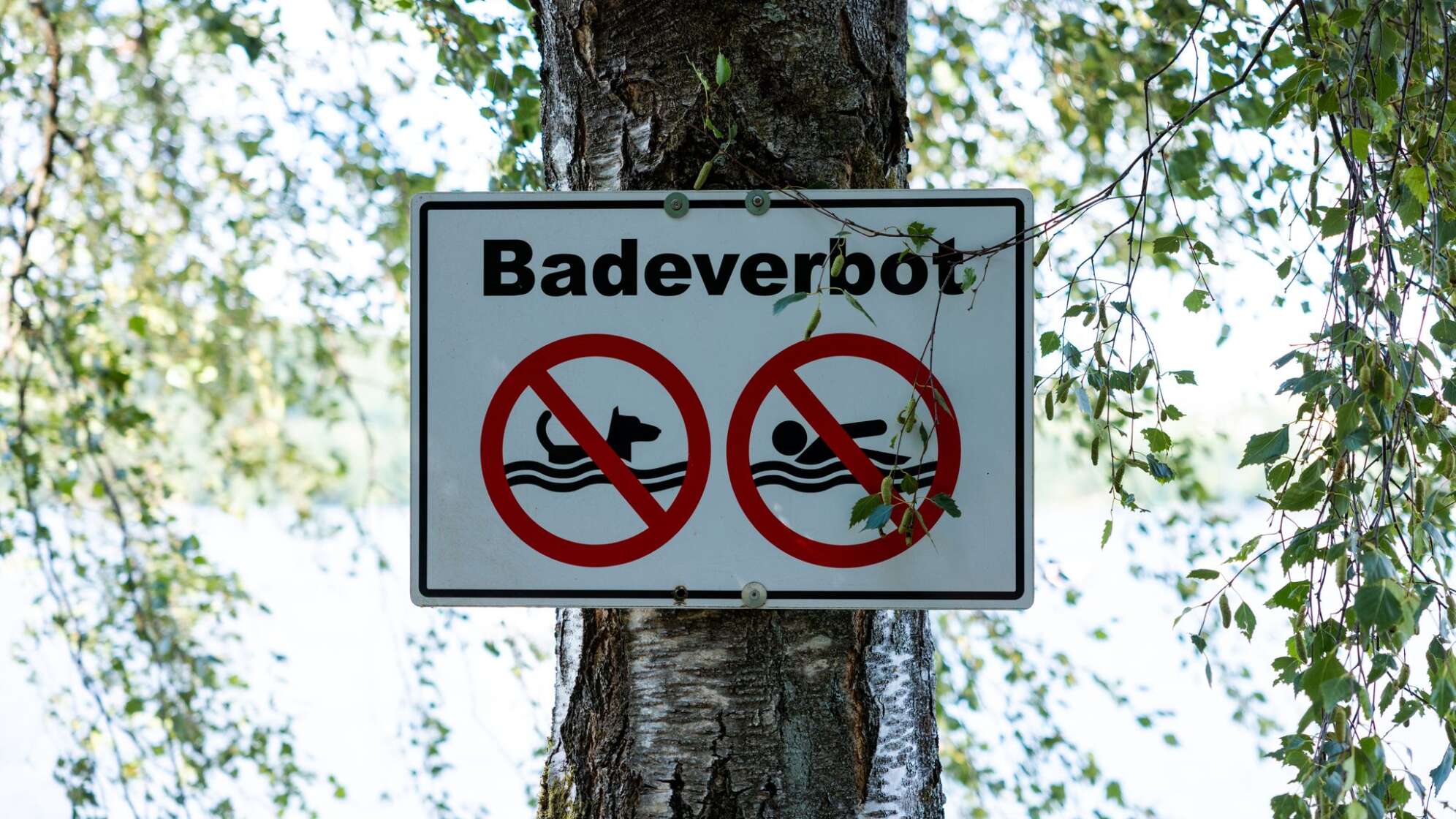 Badeweiher