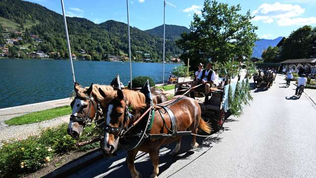Das war beim Rosstag am Tegernsee geboten