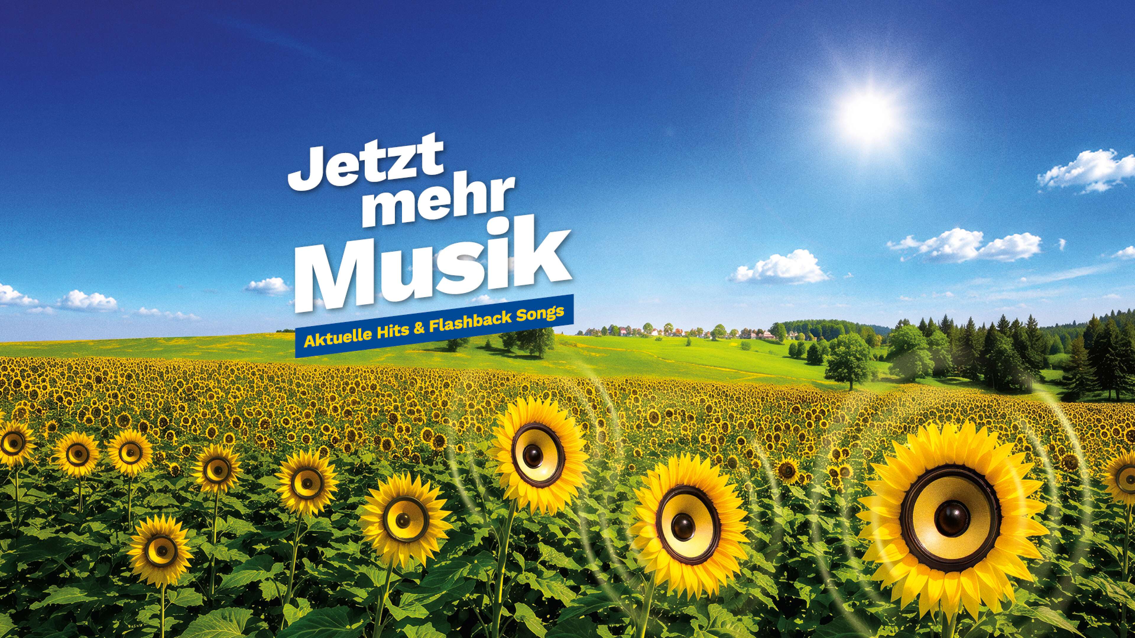 ANTENNE BAYERN Kampagne „Jetzt mehr Musik“: großes Sonnenblumenfeld in der bayerischen Landschaft unter blauem Himmel, einige Sonnenblumen als Lautsprecher dargestellt, darüber Schrift „Jetzt mehr Musik – aktuelle Hits & Flashback Songs“ – Radio aus Bayern mit mehr Musik im Herbst.