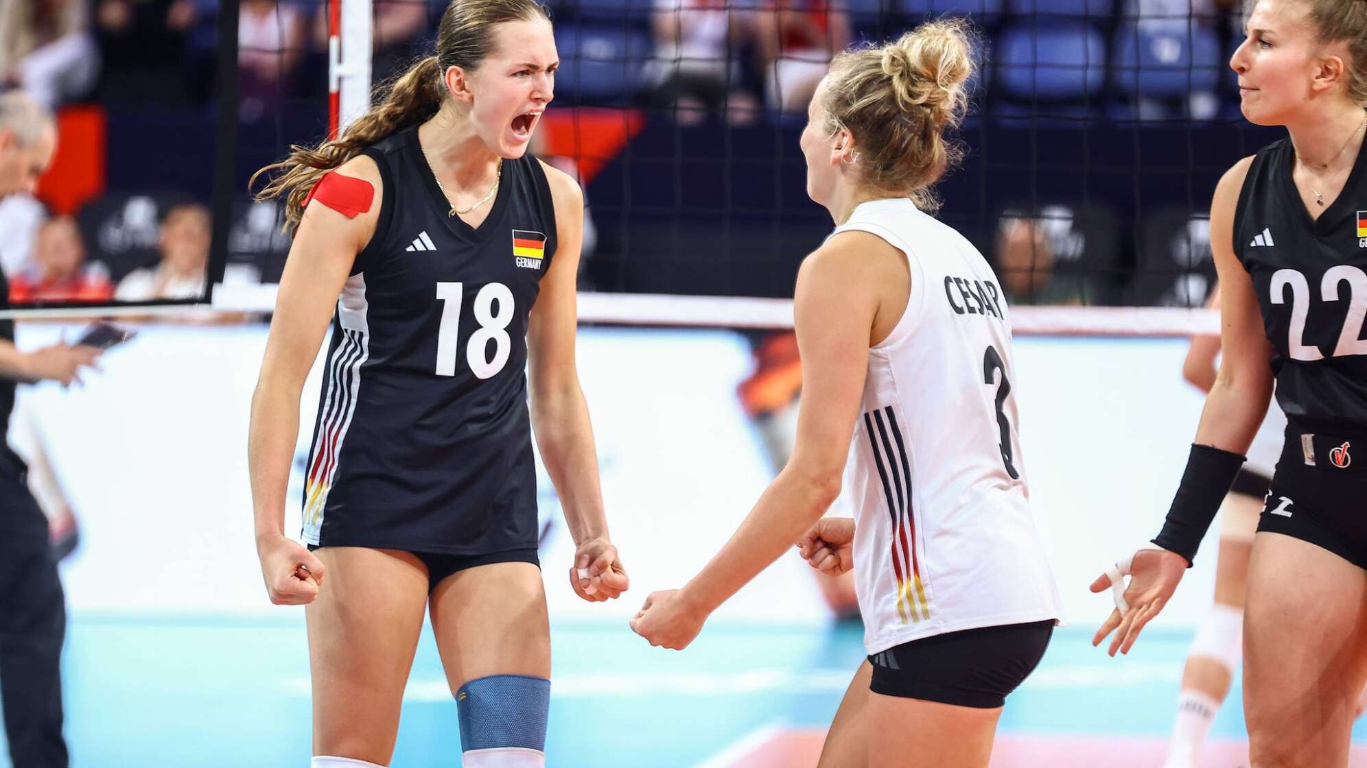 Volleyball, EM: Deutschland - Belgien