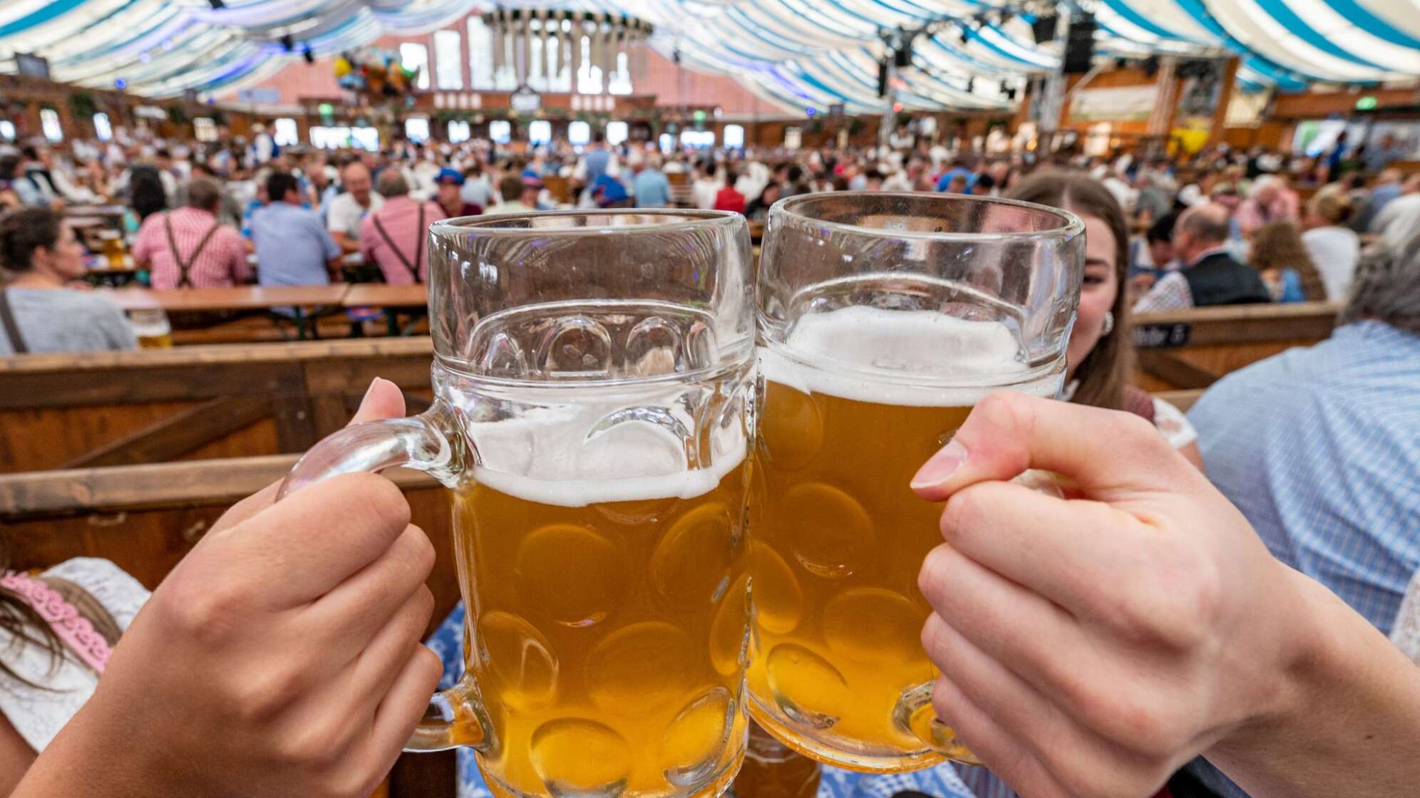 Bier