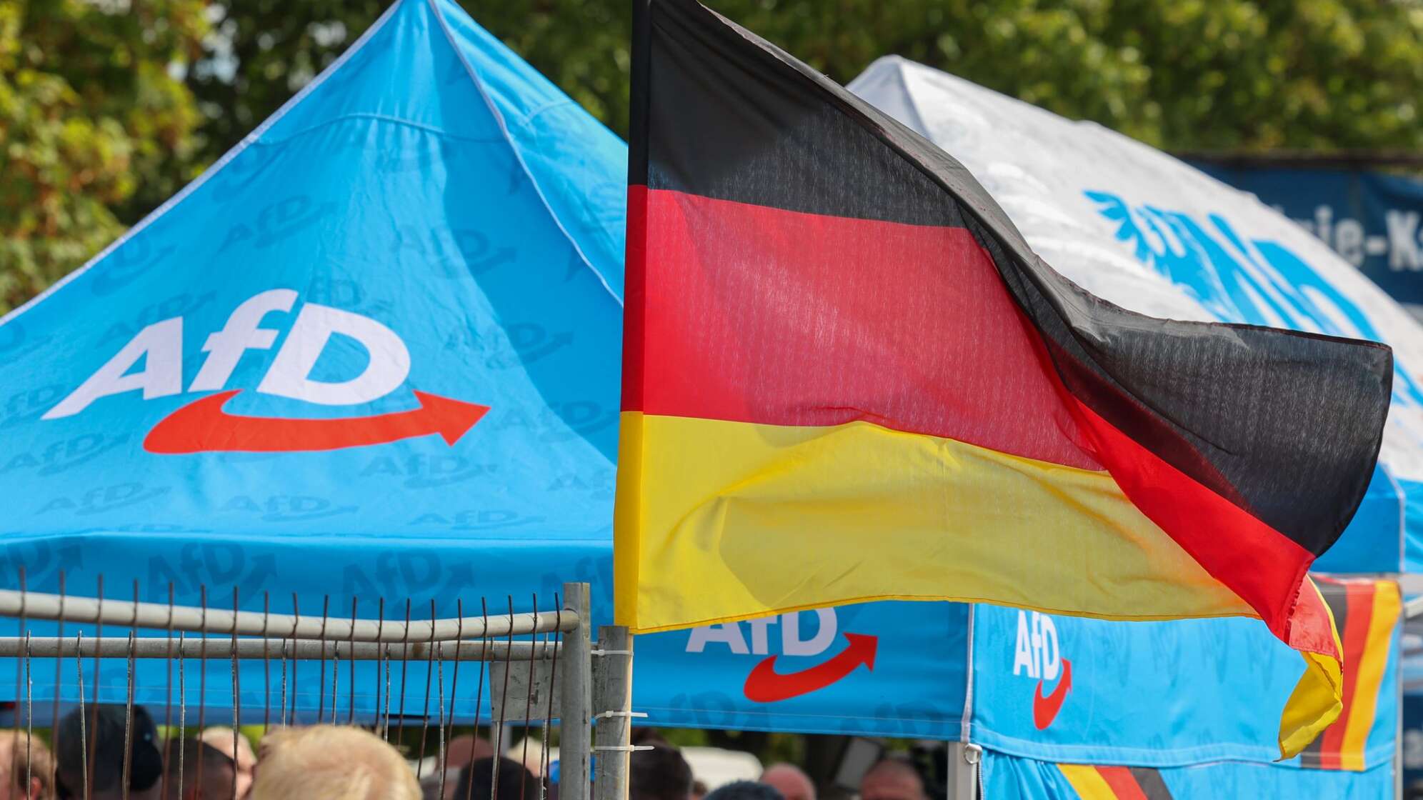 Wahlkampf der AfD