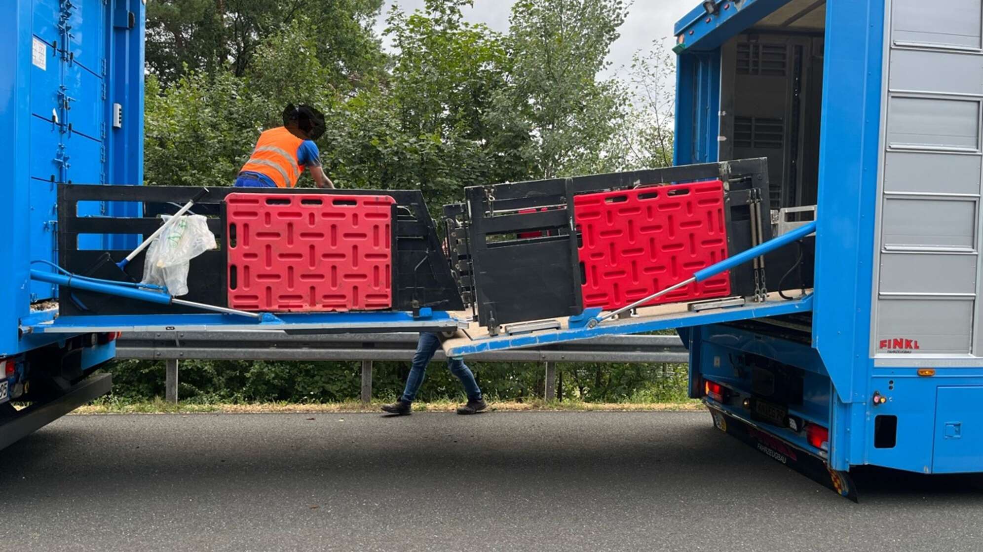 160 Schweine müssen auf Autobahn umsteigen