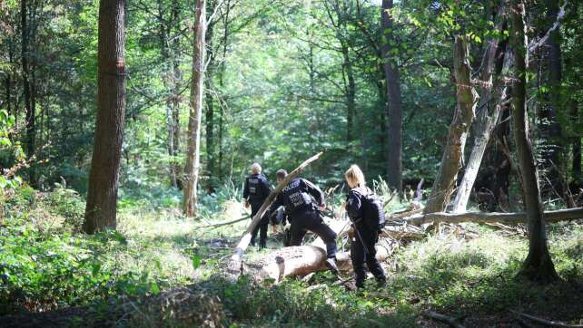 Strom-Sabotage: Tätersuche im Hambacher Forst