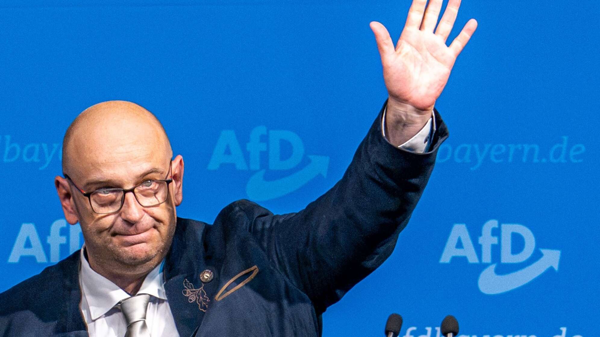 Landesparteitag AfD Bayern