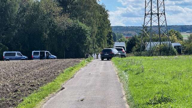 Sabotage am Stromnetz: Polizei nimmt 48-Jährigen fest