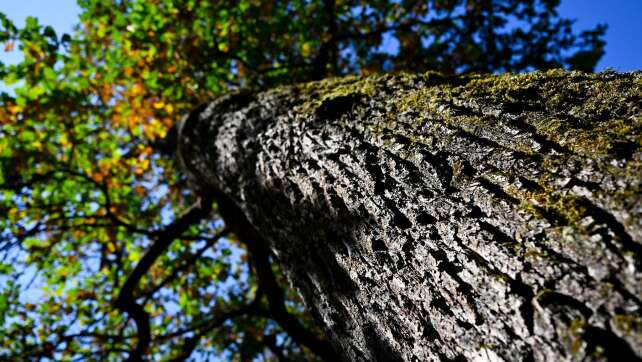 Milder Herbsttag mit Sonne