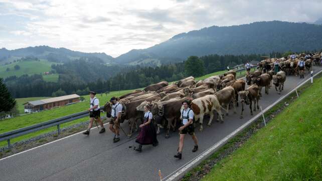 «Extremes Jahr» - Wassermangel prägte Sommer in den Alpen