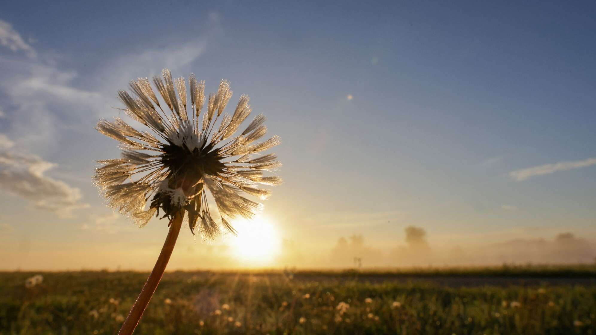 Spätsommer in Baden-Württemberg