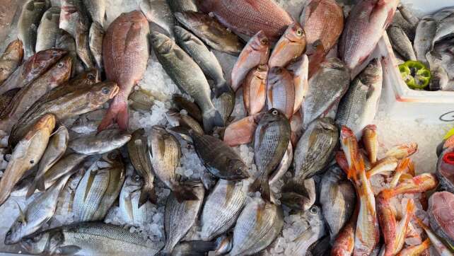 Fisch zu frisch: Griechische Steuerfahnder verhängen Strafe