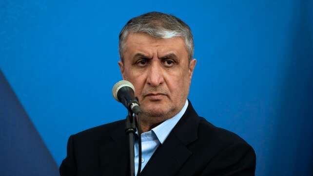 Eklat bei IAEA-Konferenz: Kein Visum für Irans Atomchef