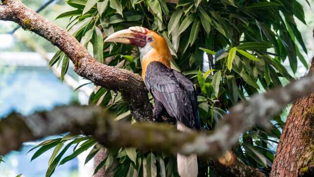 Tierpark Hellabrunn erhöht Eintrittspreise