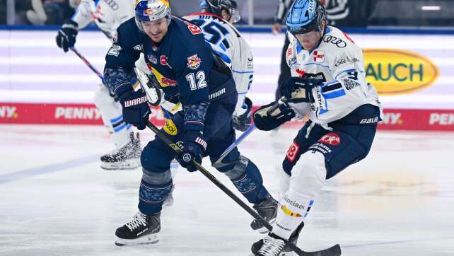 Saisonstart in der DEL: Bayerns Eishockey-Teams im Check