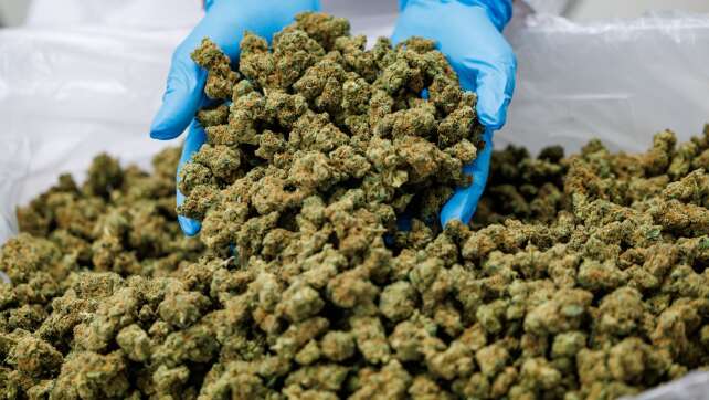 Linnemann dringt auf strengere Regeln für Medizin-Cannabis