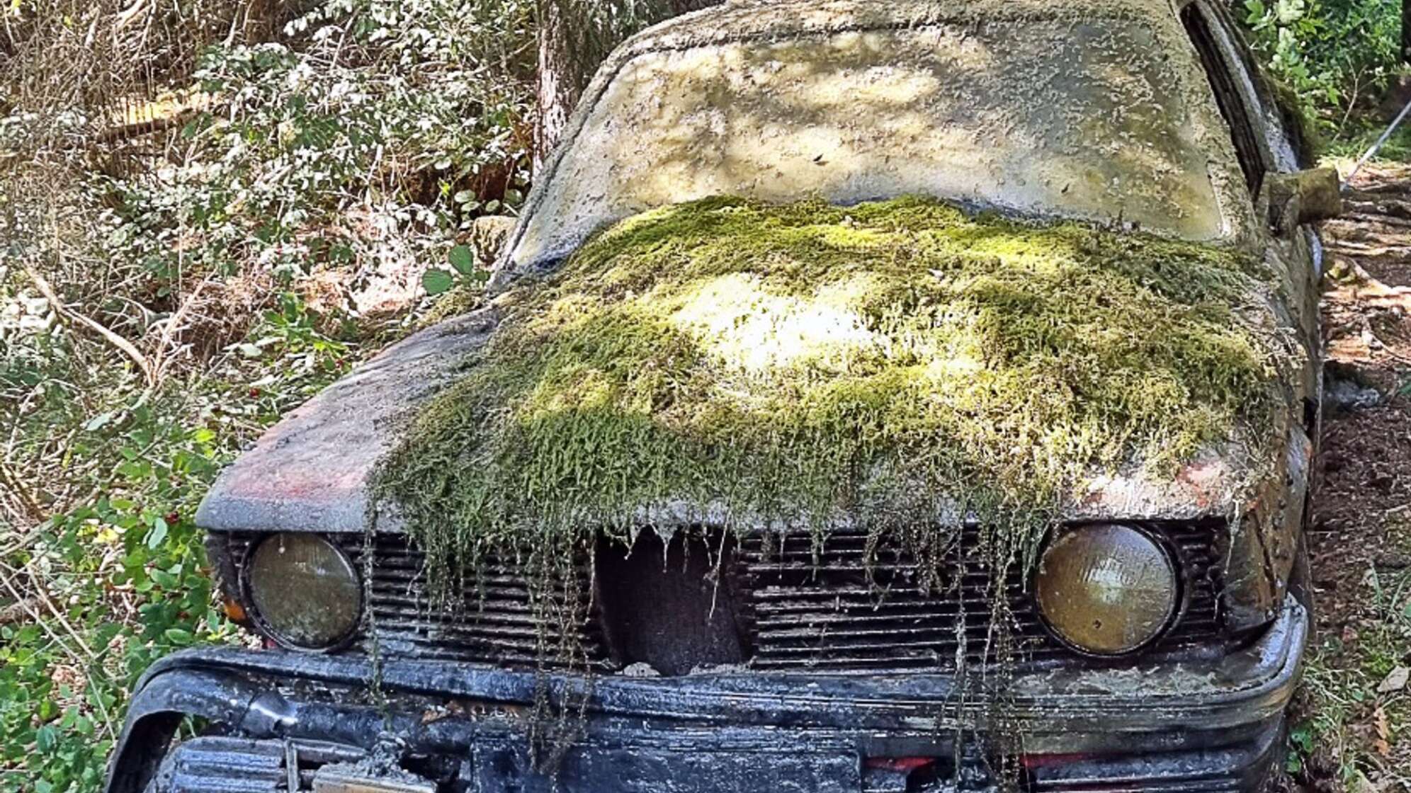 Rätsel um vor Jahrzehnten versenktes Auto aus dem Lech