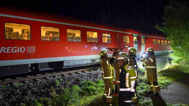 Zug rammt umgestürzten Baum - keine Fahrgäste verletzt
