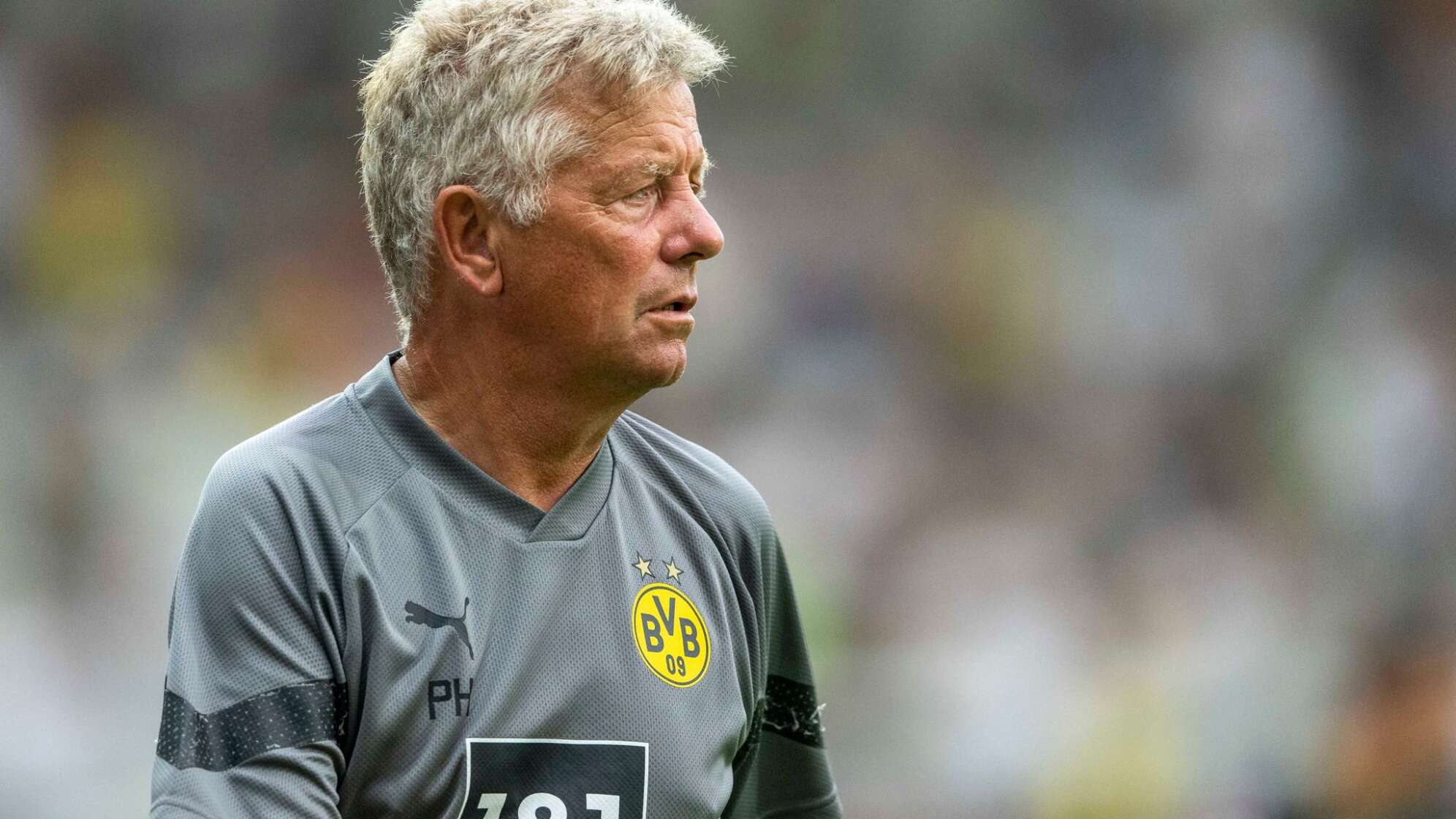 Peter Herrmann