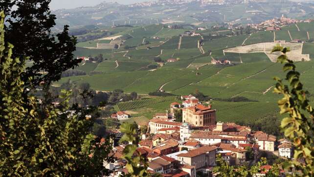 Einbruch in italienisches Weingut: 3.000 Flaschen Barolo weg