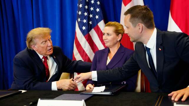 Grönland-Abkommen: Was springt für Trump raus?