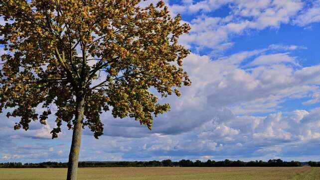 September-Sonne: Temperaturkurve zeigt deutlich nach oben