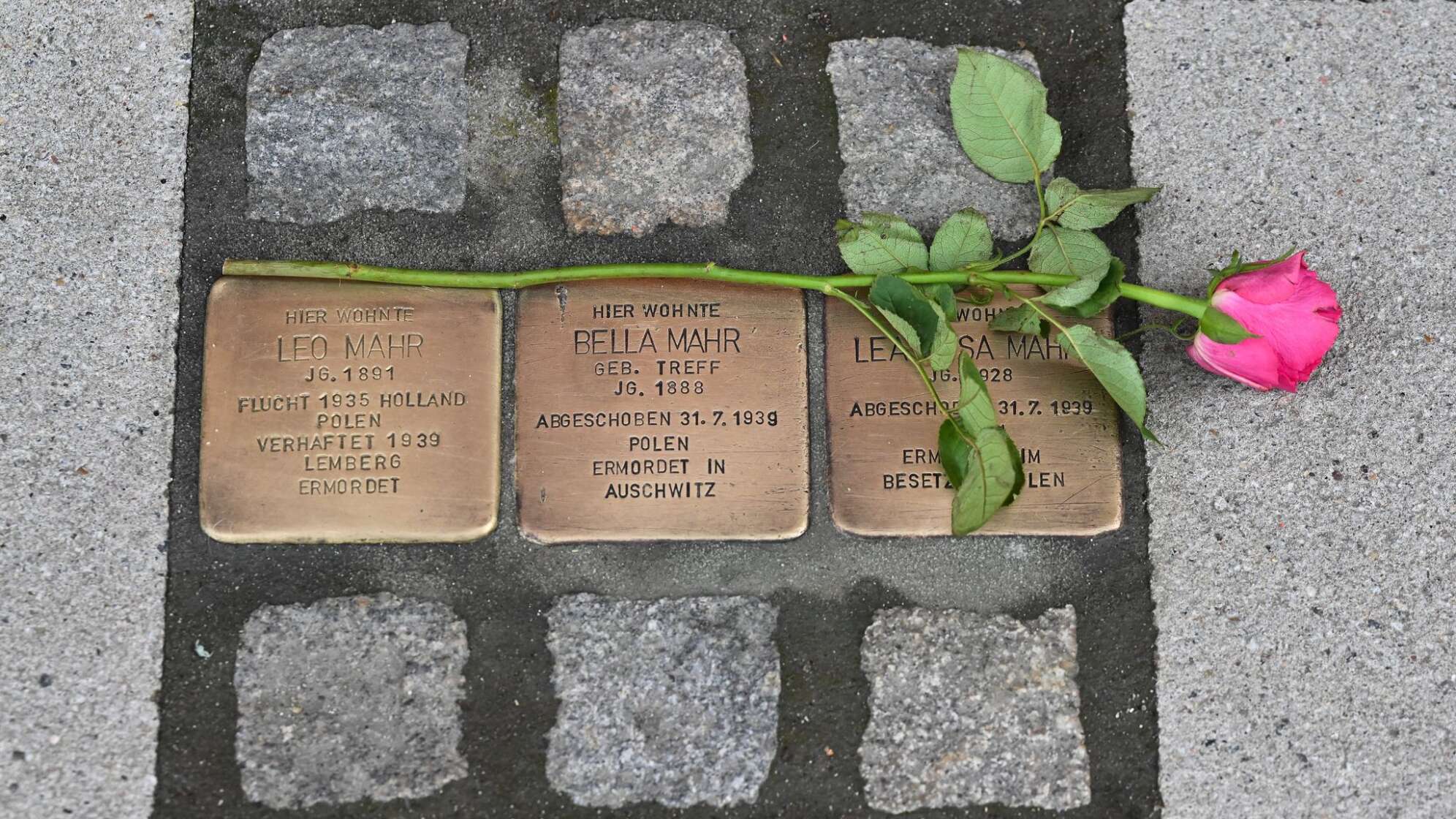 Diskussion um Stolpersteine