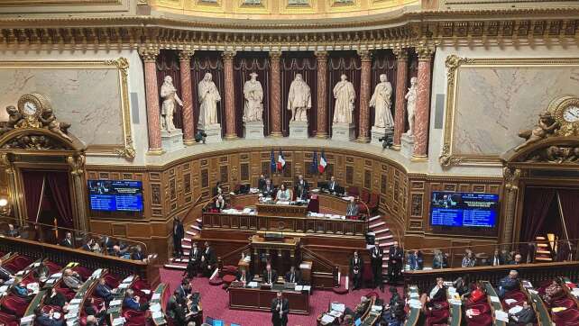 Französischer Senat wird zur Hälfte neu gewählt