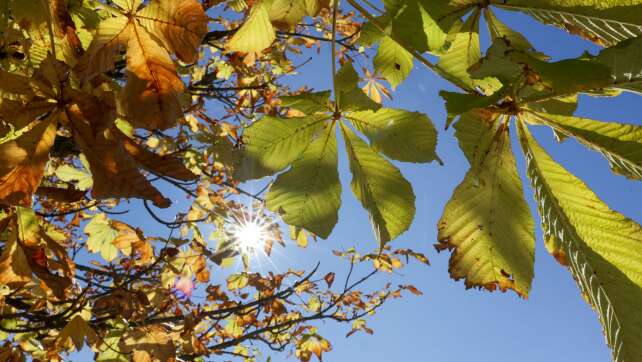 September verabschiedet sich mit bestem Wiesn-Wetter