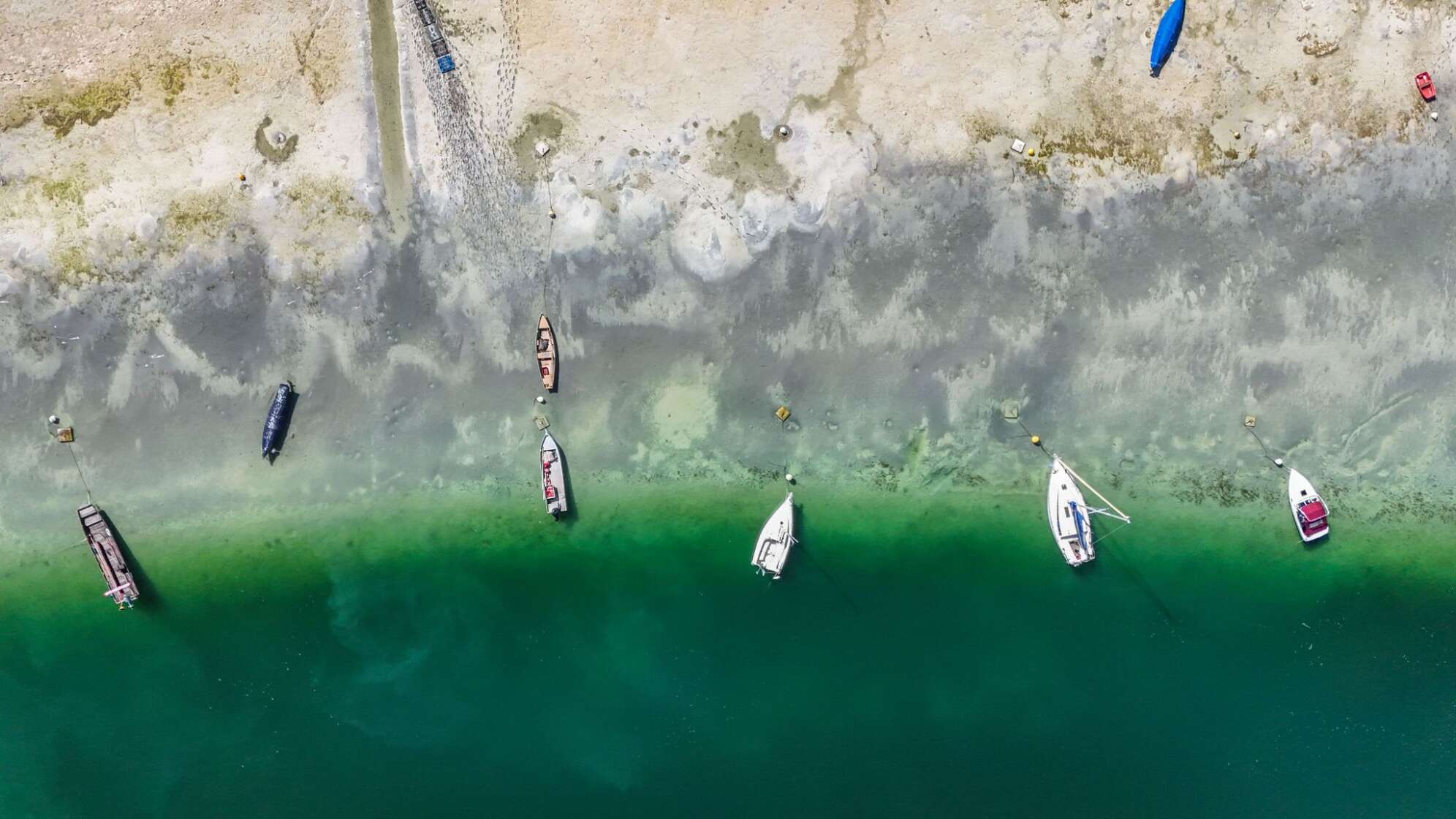 Spätsommer am Bodensee - Trockenheit