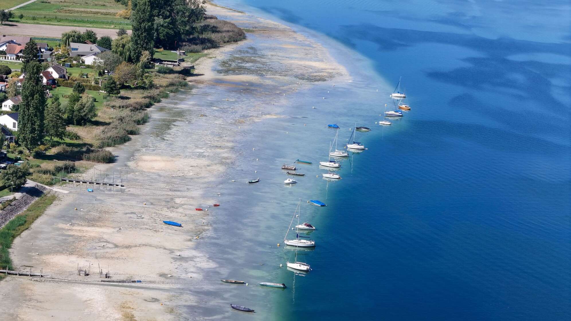 Spätsommer am Bodensee - Trockenheit