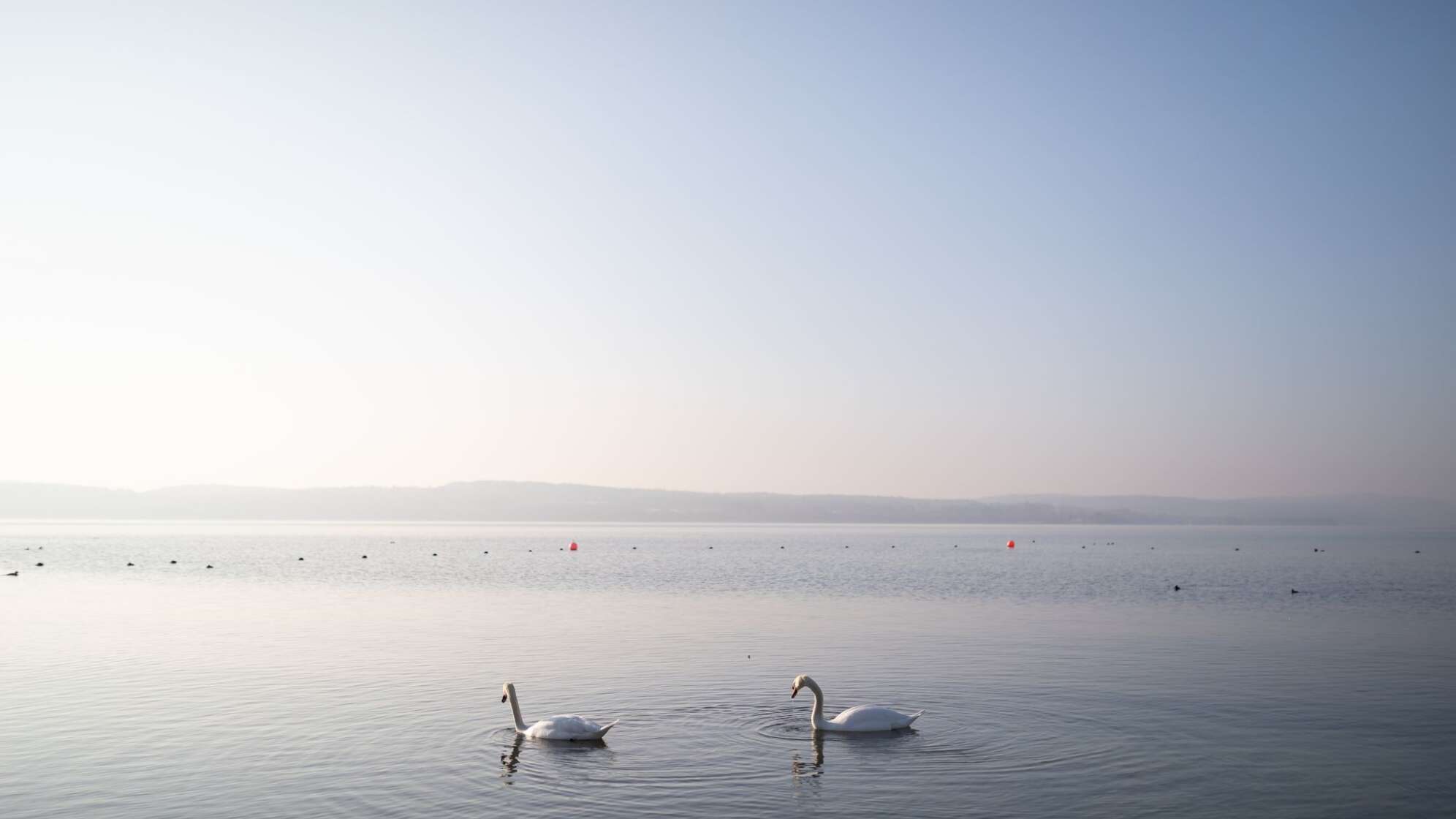 Sonniger Nachmittag am Bodensee