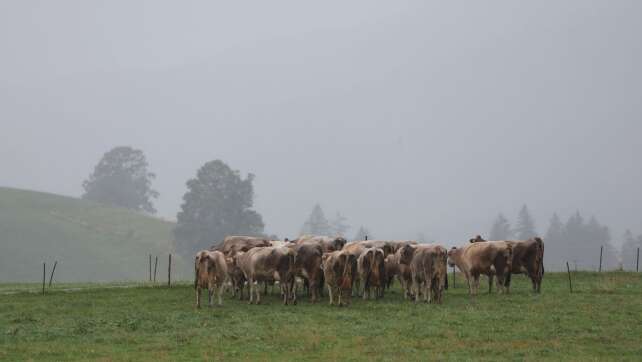 Spätsommerliches Wetter wird vom Herbst abgelöst