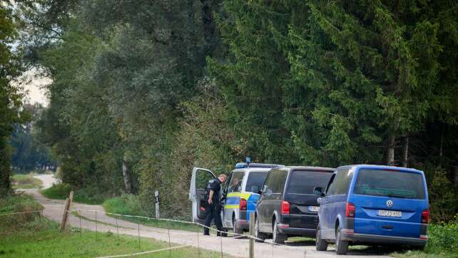 Polizei warnt vor KI-Bildern zu Raubkatze in Wohngebieten
