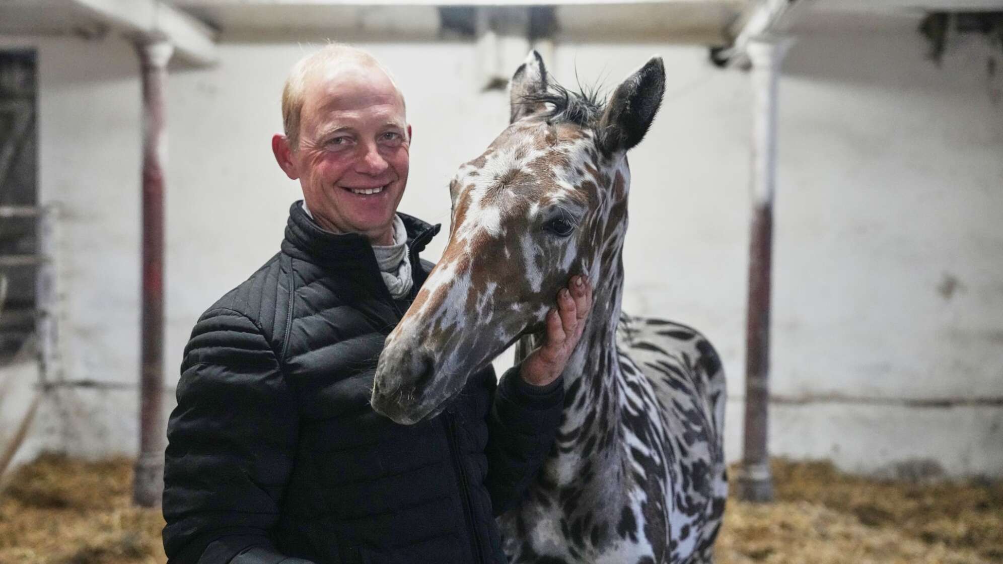 Ein zebrahaft geschecktes Fohlen