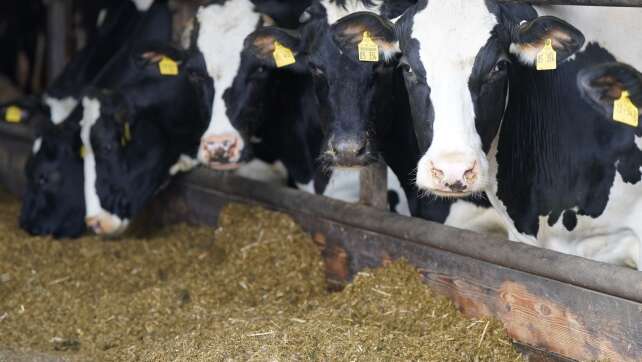 Bayerns Bauern sind nur bedingt auf Krisen vorbereitet