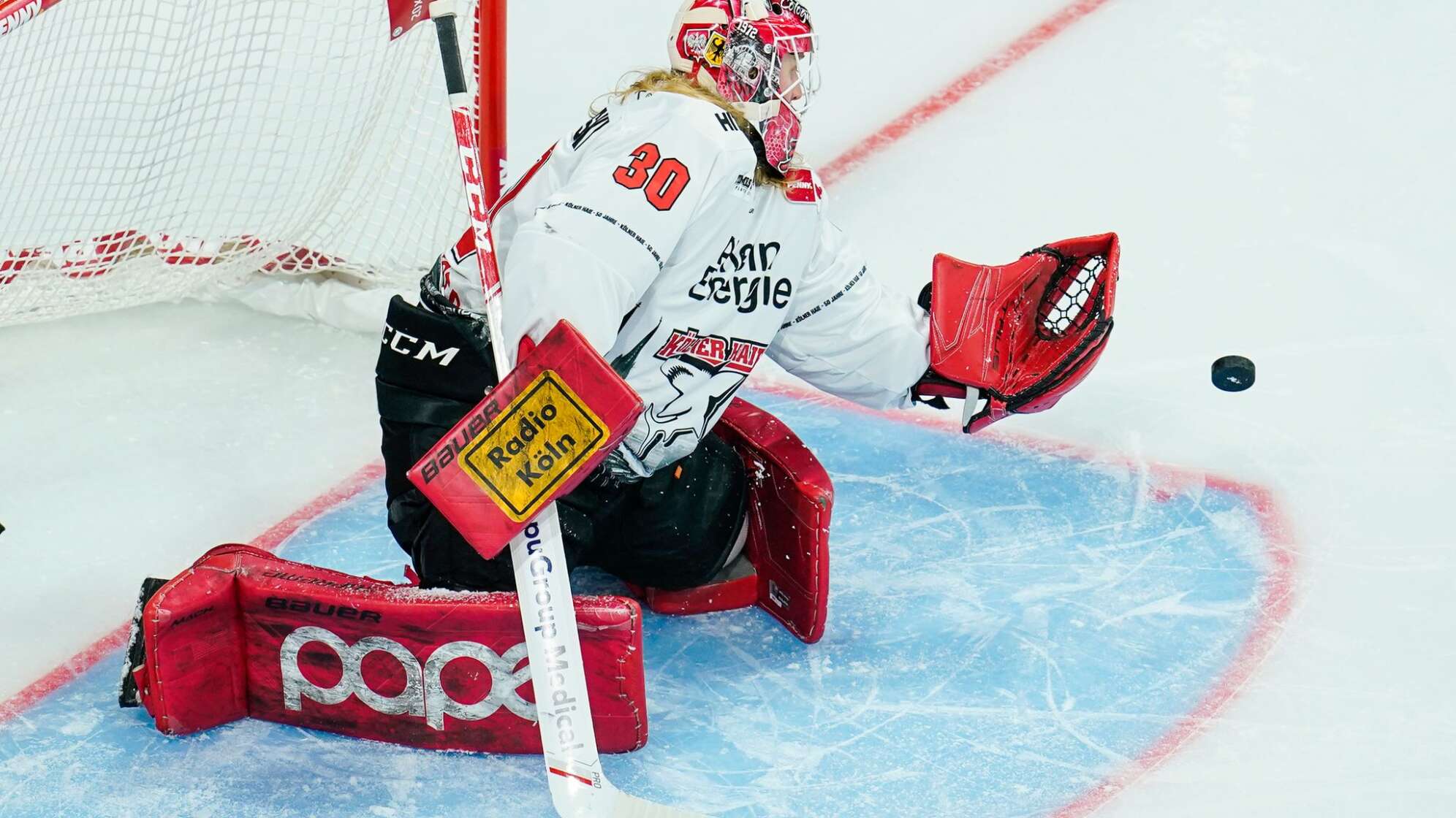 Adler Mannheim - Kölner Haie