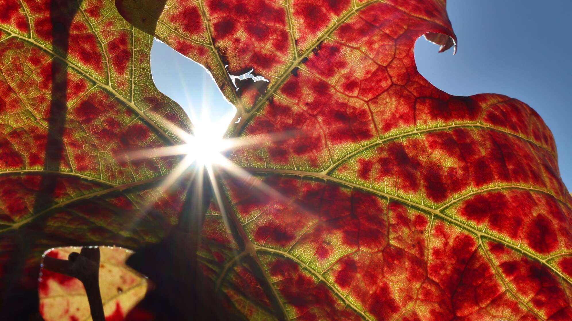 Herbst in Bayern