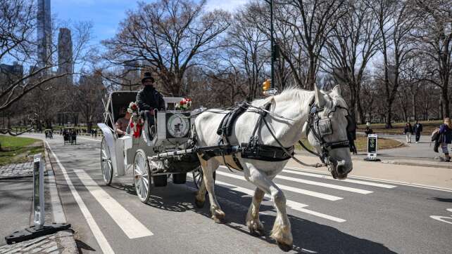 Pferdekutschen im New Yorker Central Park droht das Aus