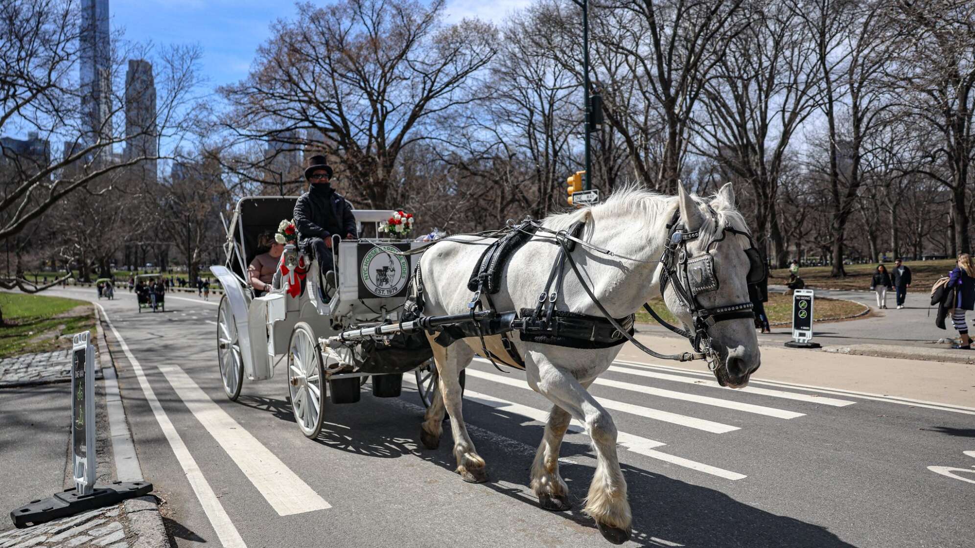 Pferdekutschen im Central Park droht das Aus