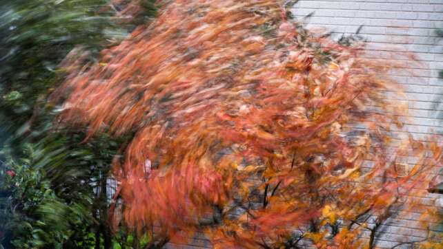 Es wird ungemütlich - Erste Herbststürme ziehen auf