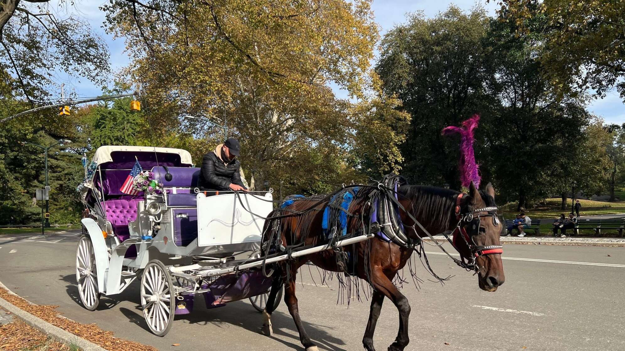 Kutsche im Central Park
