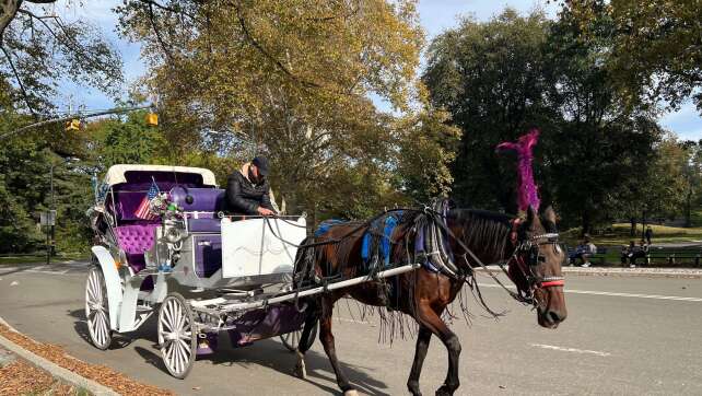 New Yorker Stadtrat: Aus für Pferdekutschen im Central Park