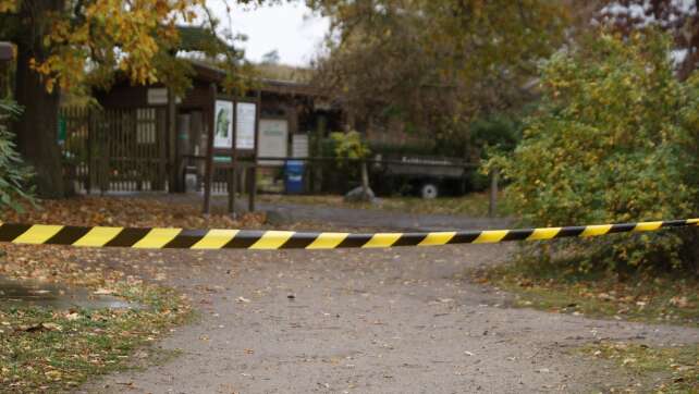 Wolf attackiert Achtjährige im Wildpark - schwer verletzt