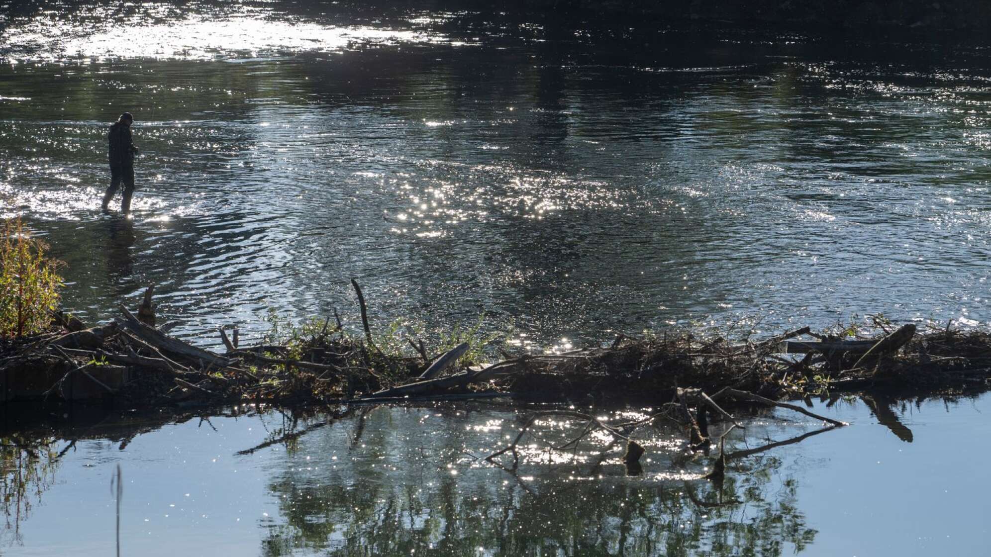 Angler in Isar
